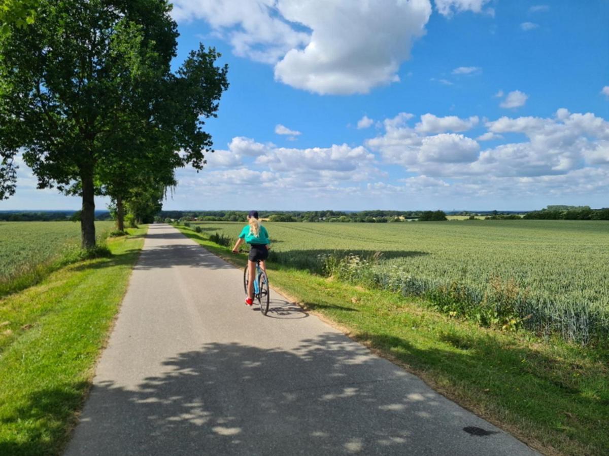 Haus Sonnenlicht. Idylle Am Ratzeburger See! Buitenkant foto